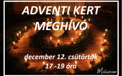 MÁLNÁRIUM ADVENTI KERT MEGHÍVÓ – 2024. december 12. 5 óra